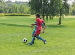 澳网赛场中,国女单止步,双打激情再,世界杯投注,世界杯体育,世界杯下注,2026世界杯,世界杯博彩,体育赛事投注,世界杯平台